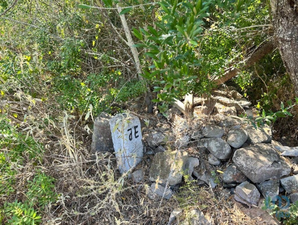 Terreno para Venda em Luz de Tavira e Santo Estêvão Foto 3