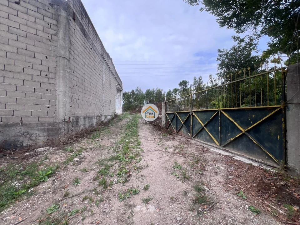 Terreno para Venda em Canelas Foto 18