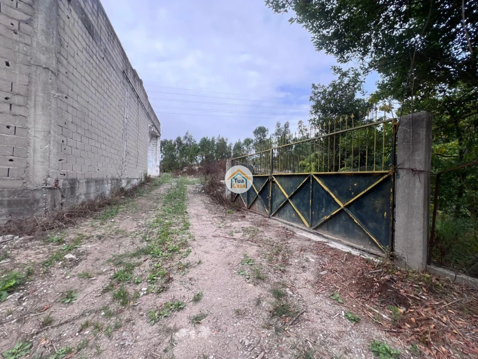 Terreno para Venda em Canelas Foto 21