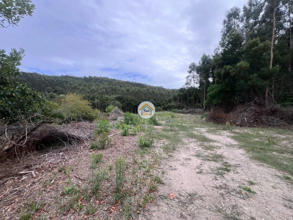 Terreno para Venda em Canelas Foto 28