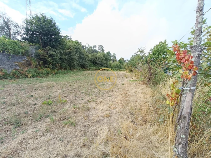 Terreno para Venda em Balança Foto 7