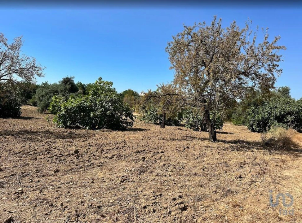 Terreno para Venda em Luz de Tavira e Santo Estêvão Foto 8