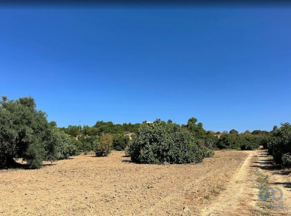 Terreno para Venda em Luz de Tavira e Santo Estêvão Foto 6