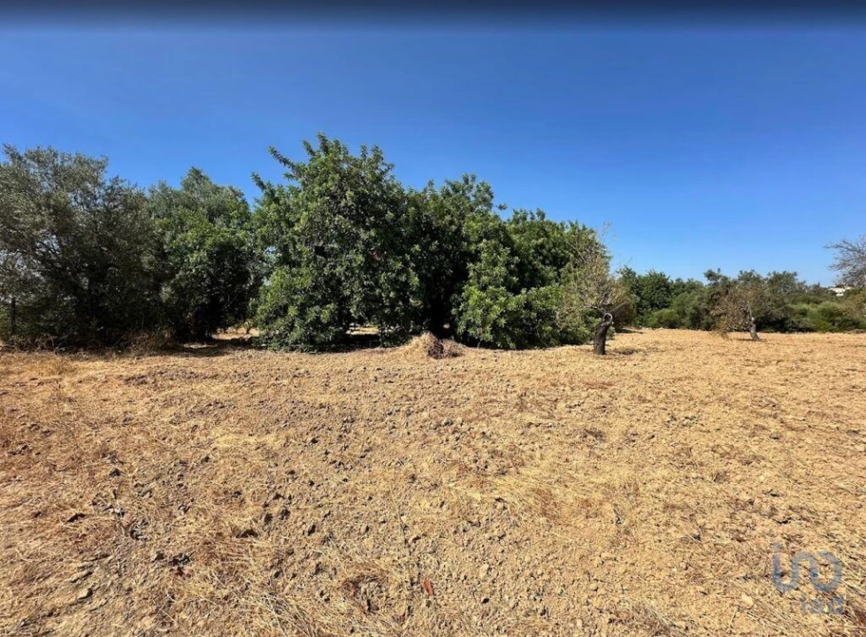 Terreno para Venda em Luz de Tavira e Santo Estêvão Foto 5