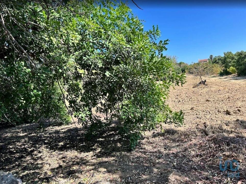 Terreno para Venda em Luz de Tavira e Santo Estêvão Foto 4