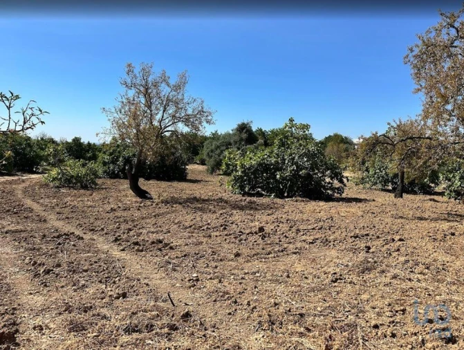Terreno para Venda em Luz de Tavira e Santo Estêvão Foto 7