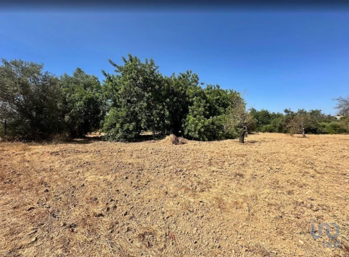Terreno para Venda em Luz de Tavira e Santo Estêvão Foto 5