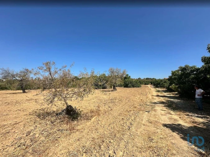 Terreno para Venda em Luz de Tavira e Santo Estêvão Foto 3