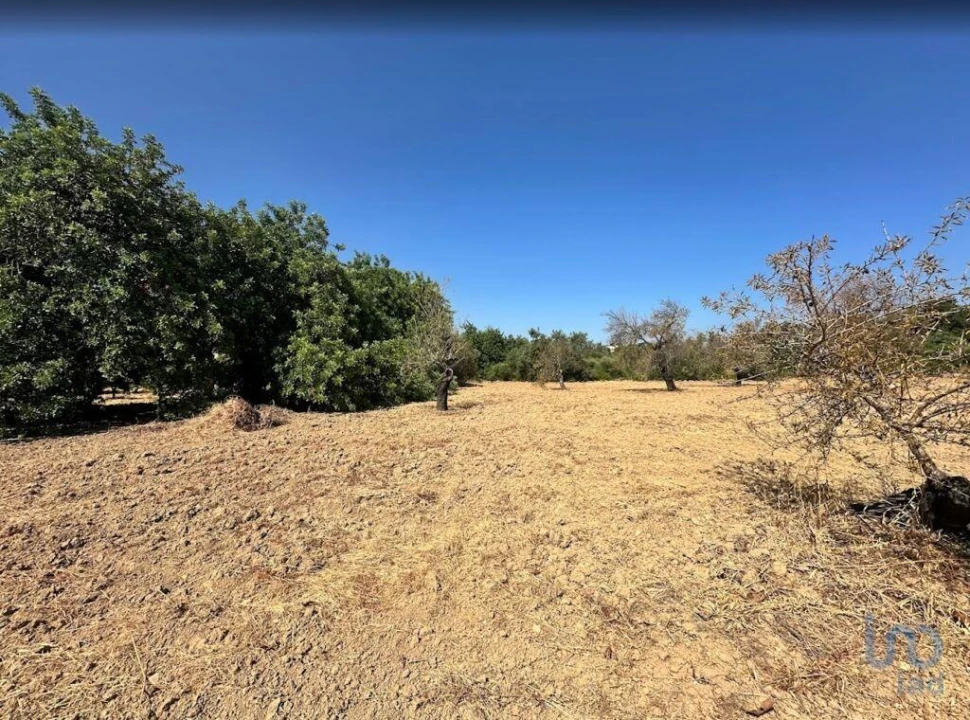 Terreno para Venda em Luz de Tavira e Santo Estêvão Foto 1