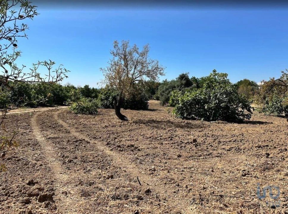 Terreno para Venda em Luz de Tavira e Santo Estêvão Foto 9