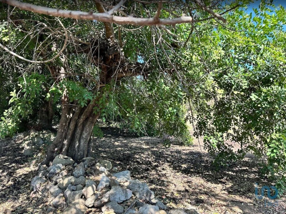 Terreno para Venda em Luz de Tavira e Santo Estêvão Foto 2
