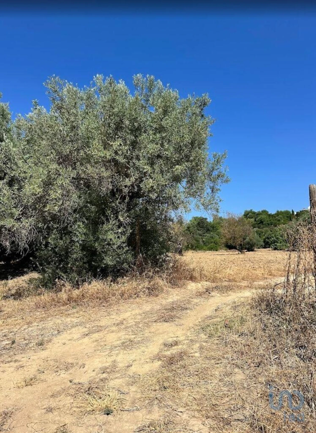 Terreno para Venda em Luz de Tavira e Santo Estêvão Foto 10