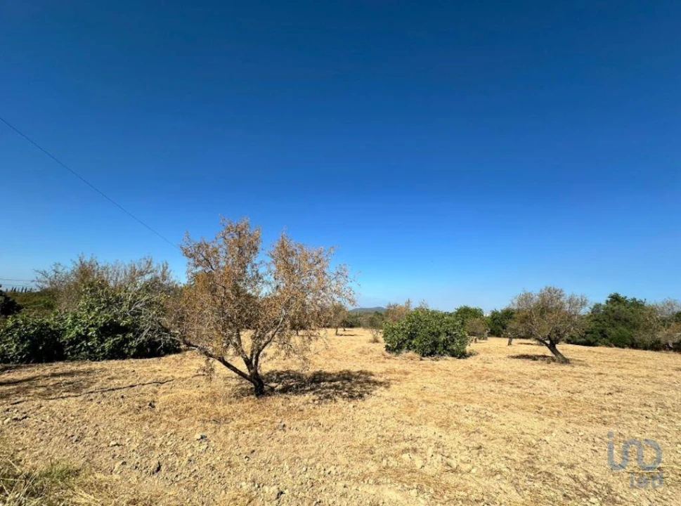 Terreno para Venda em Luz de Tavira e Santo Estêvão Foto 3