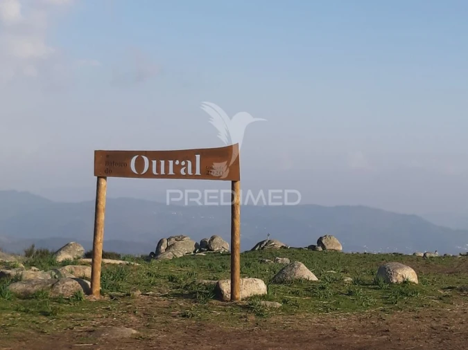 Terreno para Venda em Pico de Regalados, Gondiães e Mós Foto 3