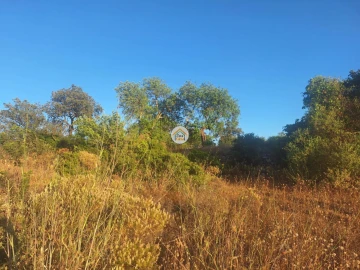 Terreno para Venda em Faro (Sé e São Pedro)