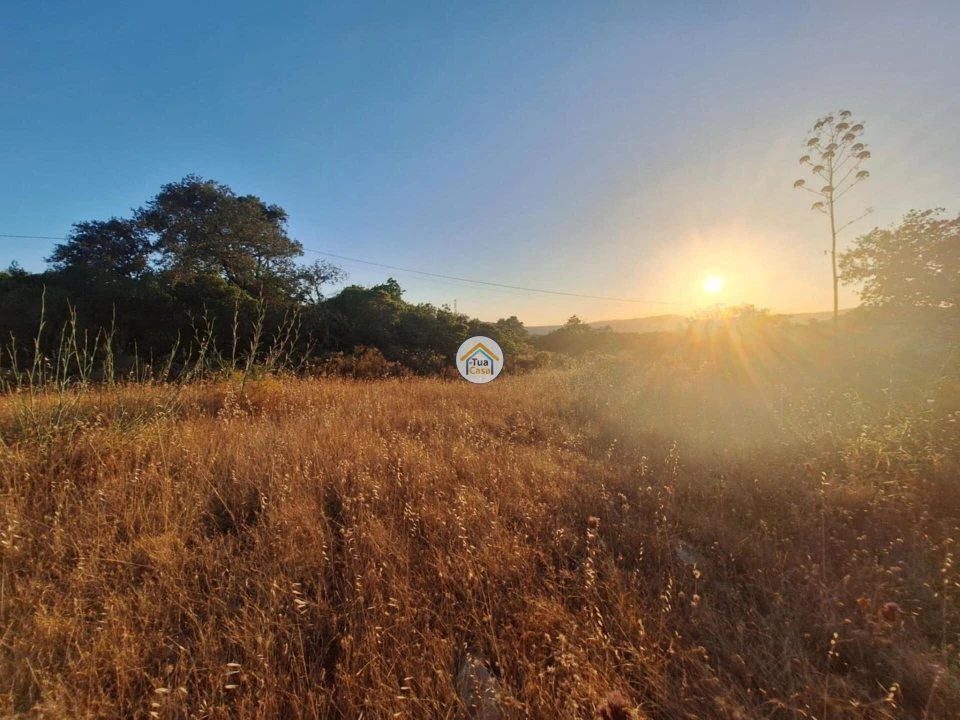 Terreno para Venda em Faro (Sé e São Pedro) Foto 5