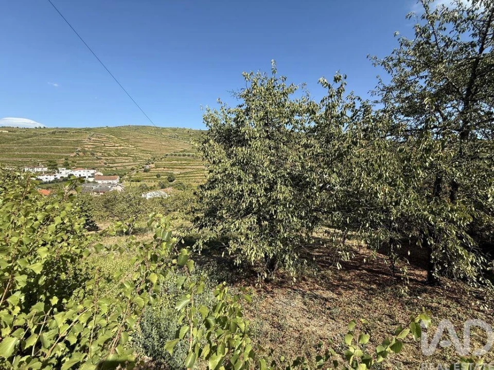 Moradia T2 para Venda em Peso da Régua e Godim Foto 19