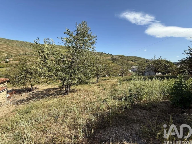 Moradia T2 para Venda em Peso da Régua e Godim Foto 16