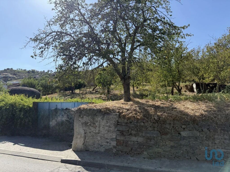 Moradia T2 para Venda em Peso da Régua e Godim Foto 11