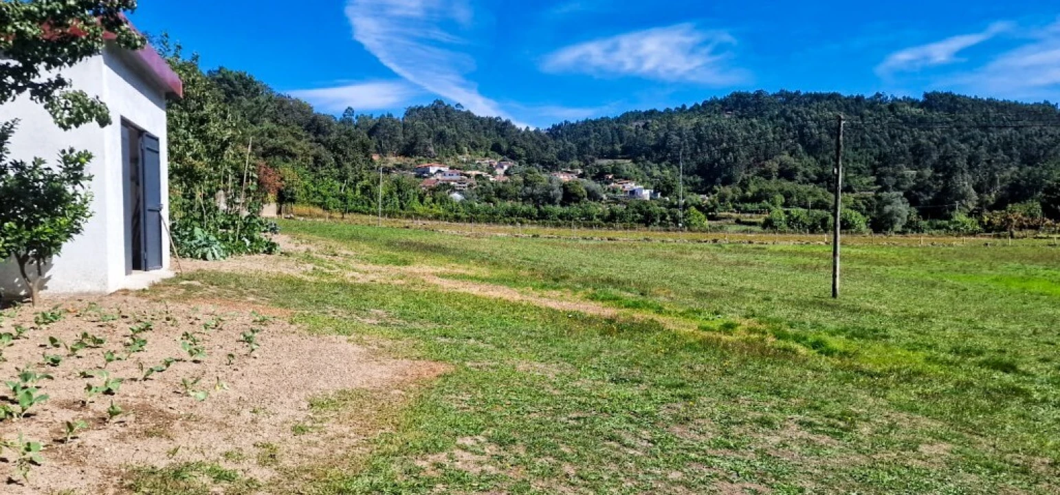 Terreno para Venda em Pinheiro Foto 4