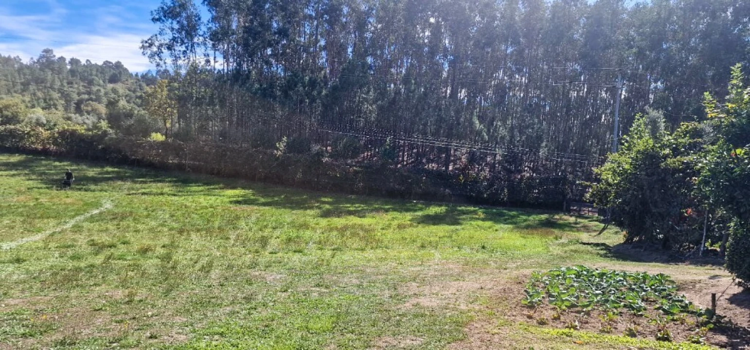 Terreno para Venda em Pinheiro Foto 19