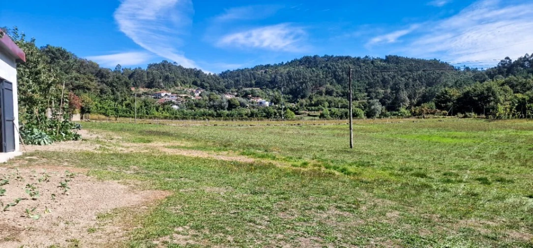 Terreno para Venda em Pinheiro Foto 5