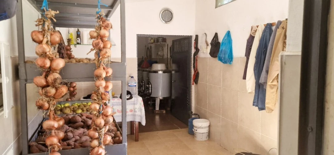 Terreno para Venda em Pinheiro Foto 11