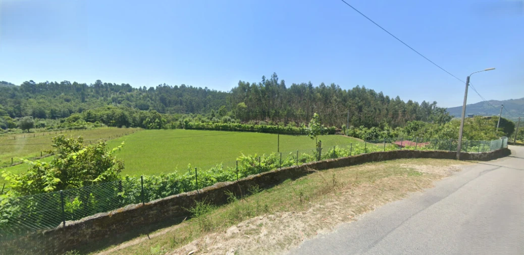 Terreno para Venda em Pinheiro Foto 2