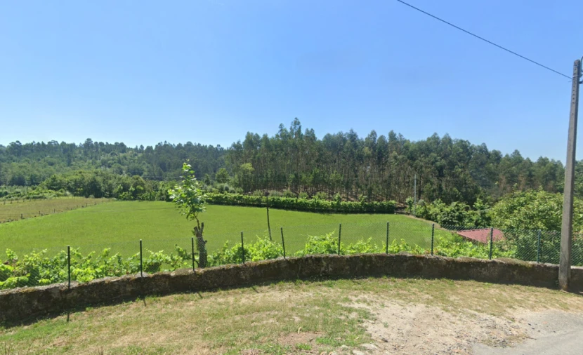 Terreno para Venda em Pinheiro