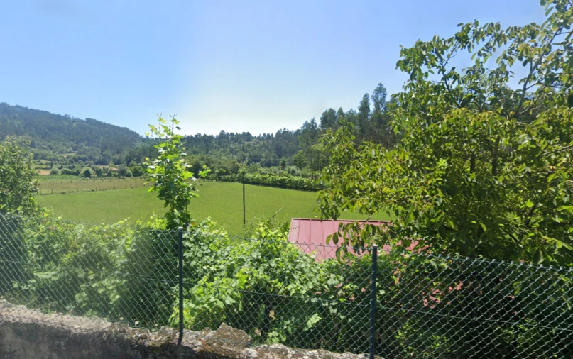 Terreno para Venda em Pinheiro Foto 3