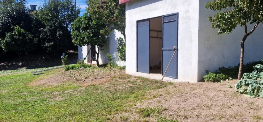 Terreno para Venda em Pinheiro Foto 7