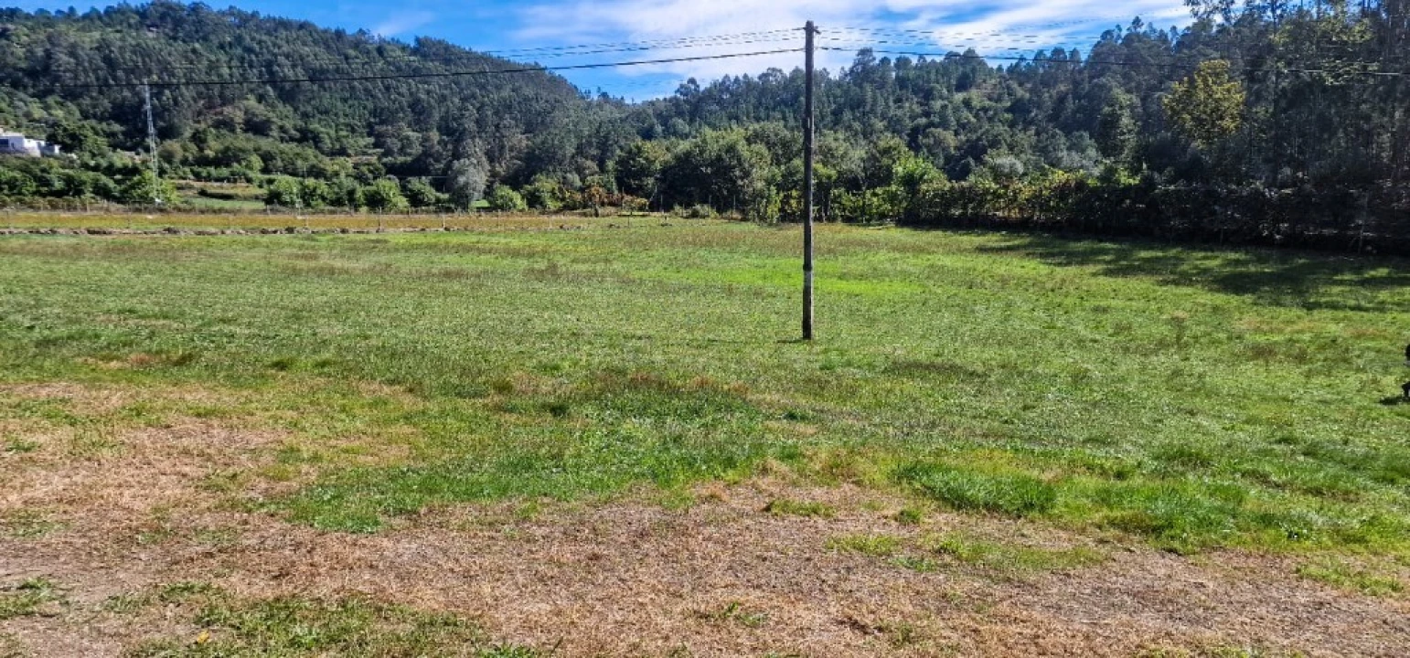 Terreno para Venda em Pinheiro Foto 16