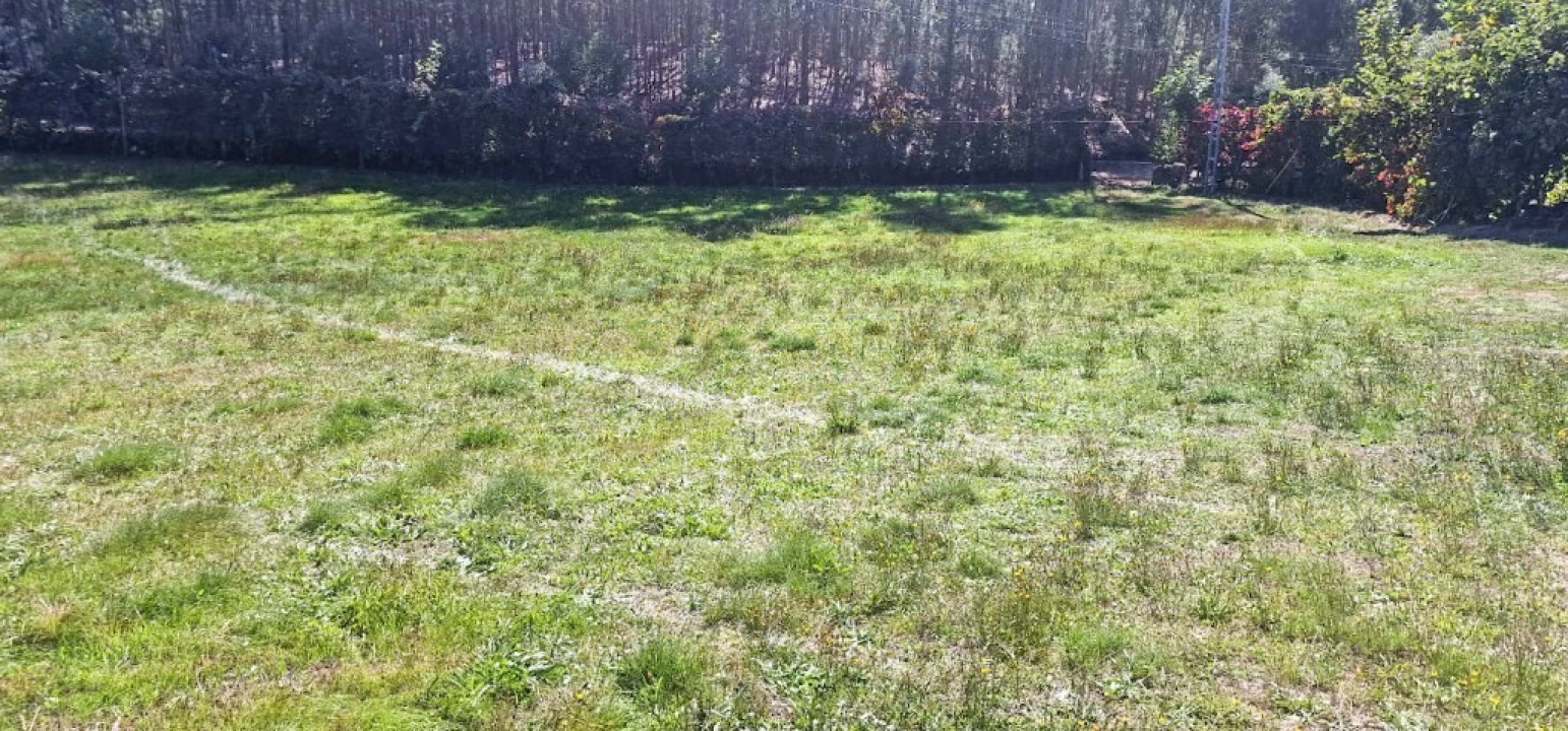 Terreno para Venda em Pinheiro Foto 18