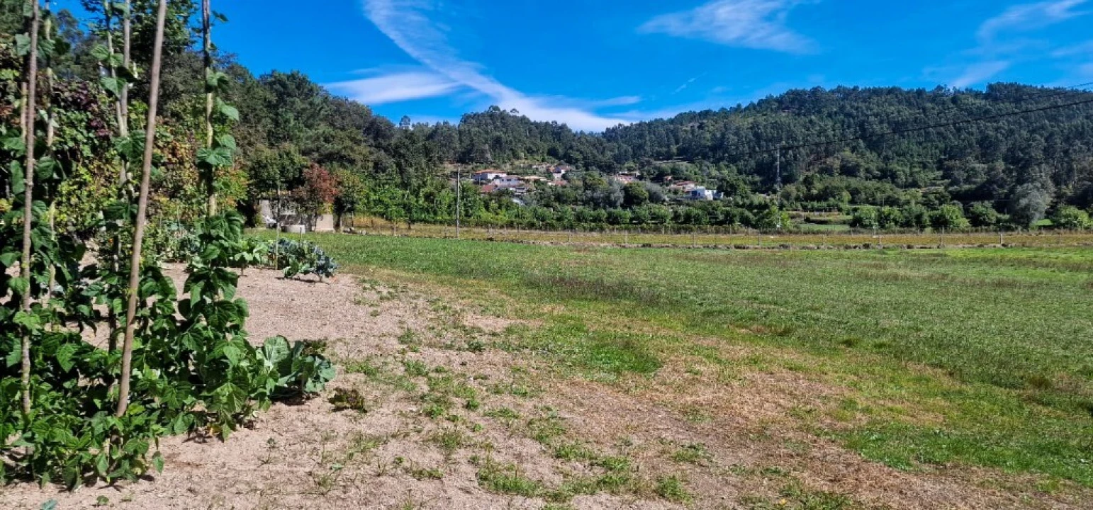 Terreno para Venda em Pinheiro Foto 15