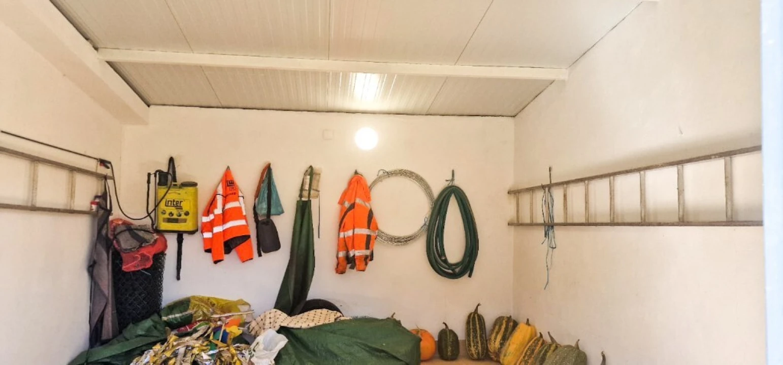 Terreno para Venda em Pinheiro Foto 10