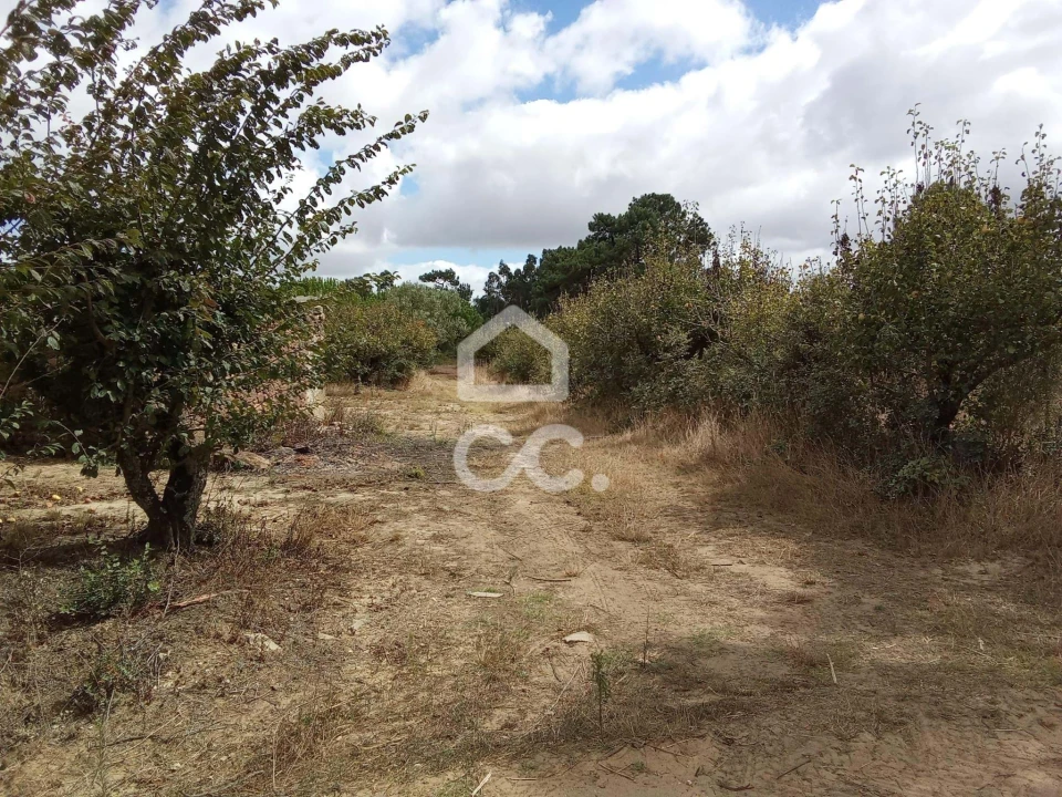 Terreno para Venda em Roliça Foto 22