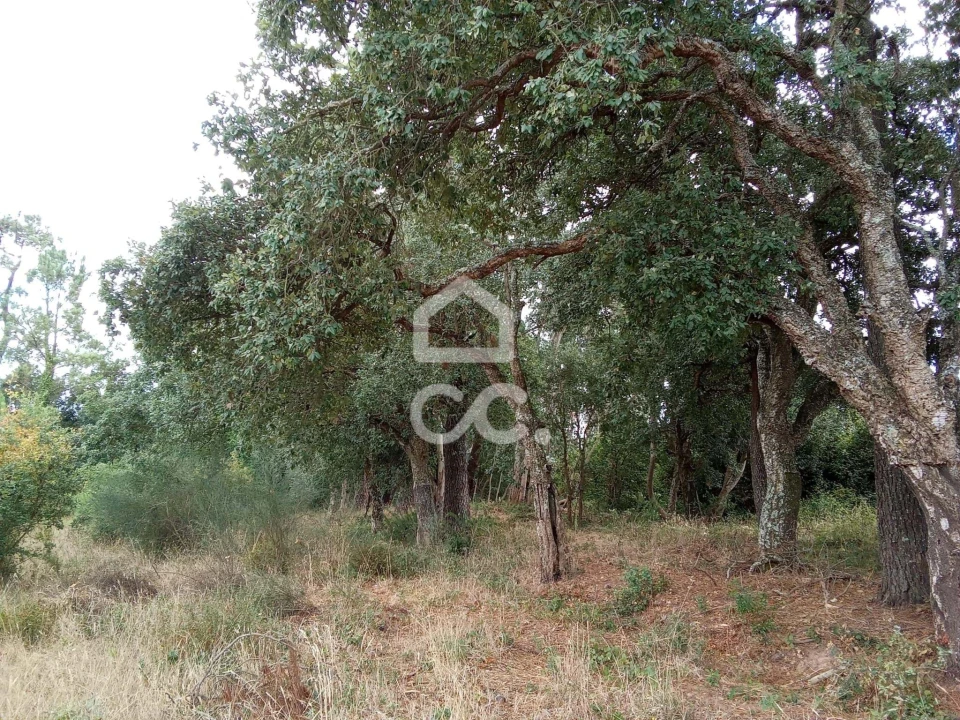 Terreno para Venda em Roliça Foto 8