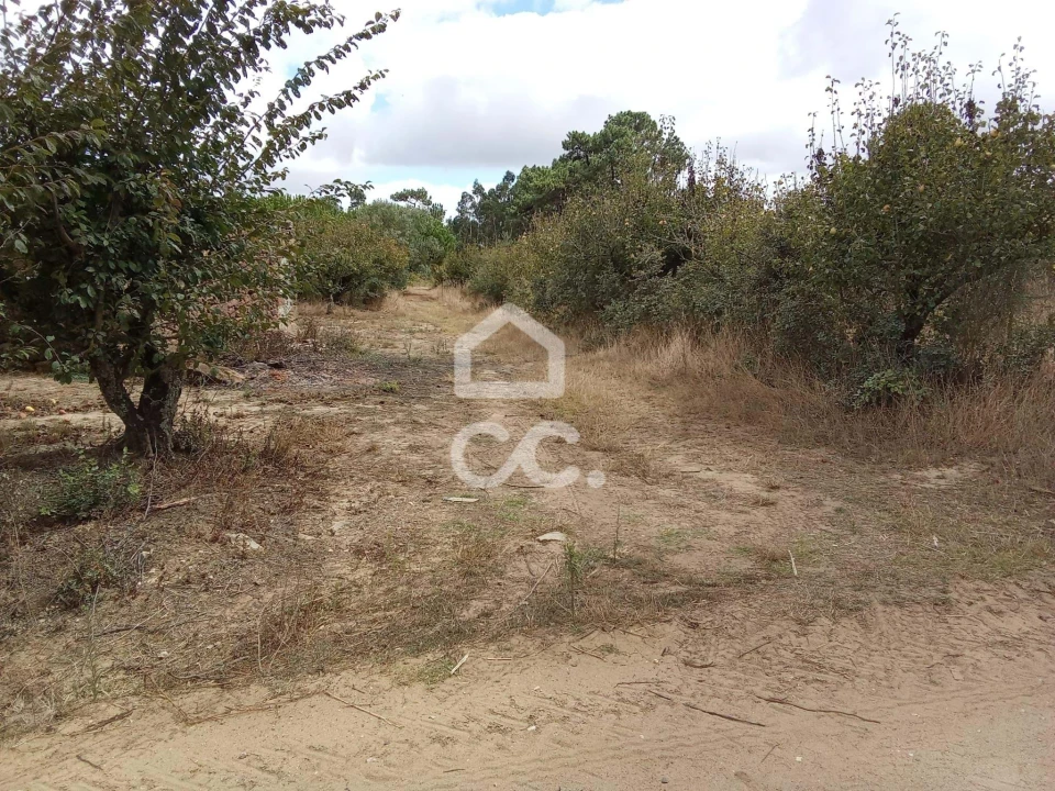 Terreno para Venda em Roliça Foto 23