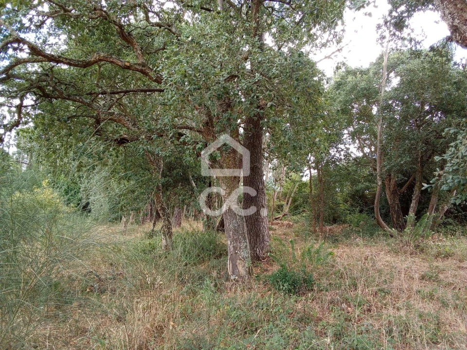 Terreno para Venda em Roliça Foto 11