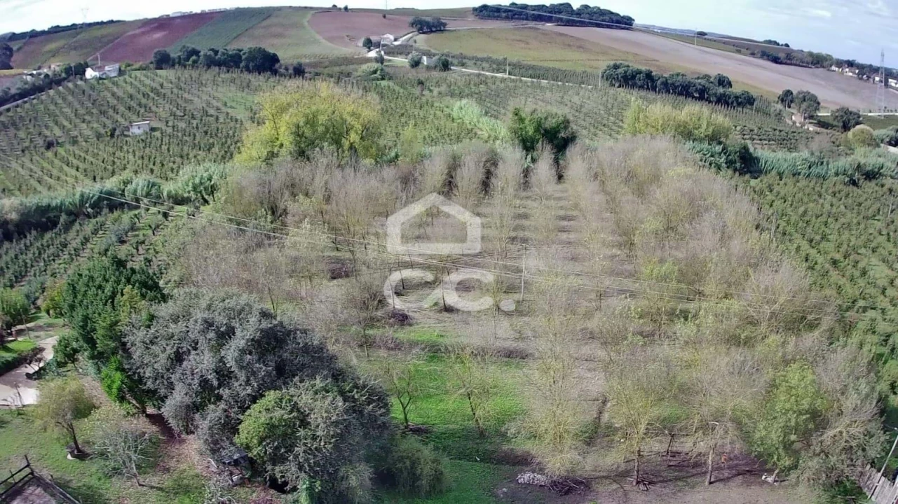 Terreno para Venda em Roliça Foto 26