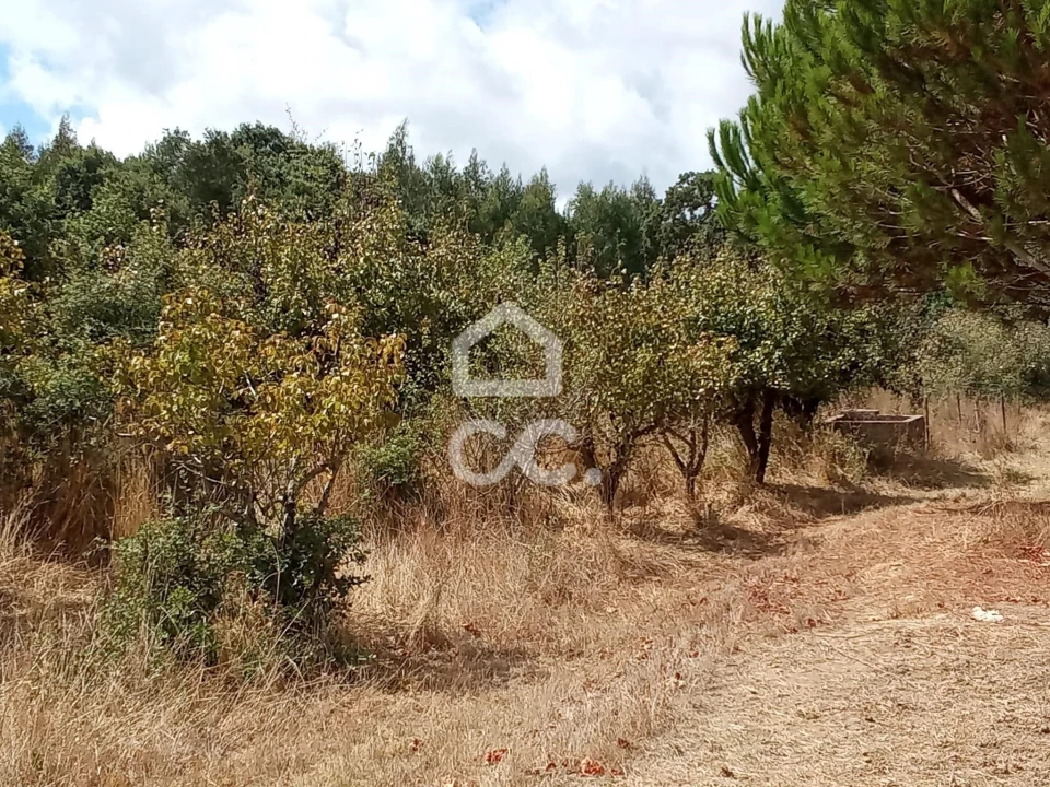 Terreno para Venda em Roliça Foto 13