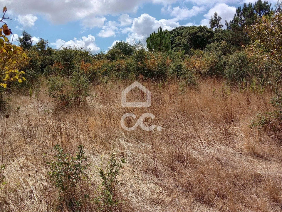 Terreno para Venda em Roliça Foto 15