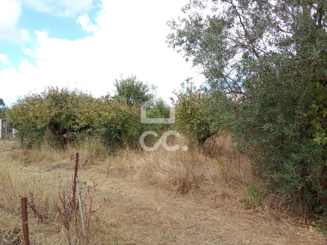 Terreno para Venda em Roliça Foto 6