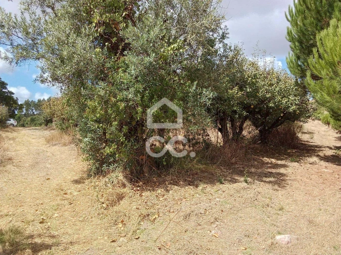 Terreno para Venda em Roliça Foto 16