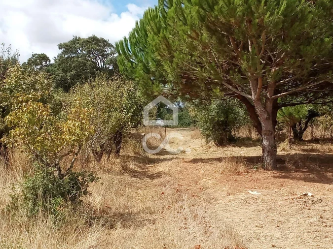 Terreno para Venda em Roliça Foto 17