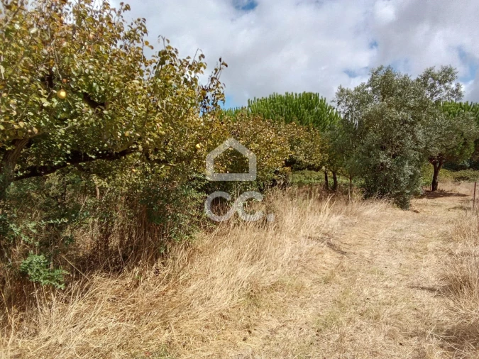 Terreno para Venda em Roliça Foto 20