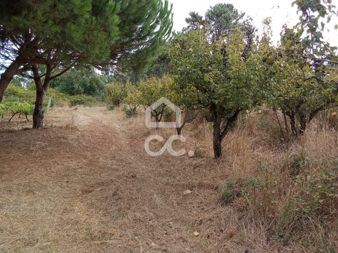 Terreno para Venda em Roliça Foto 5