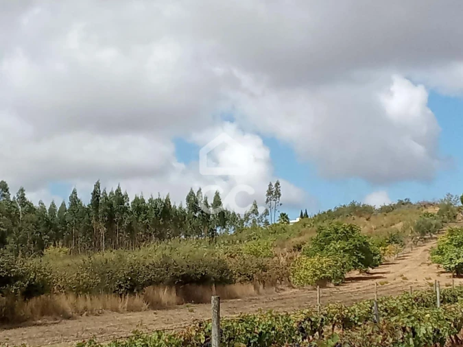 Terreno para Venda em Roliça Foto 2