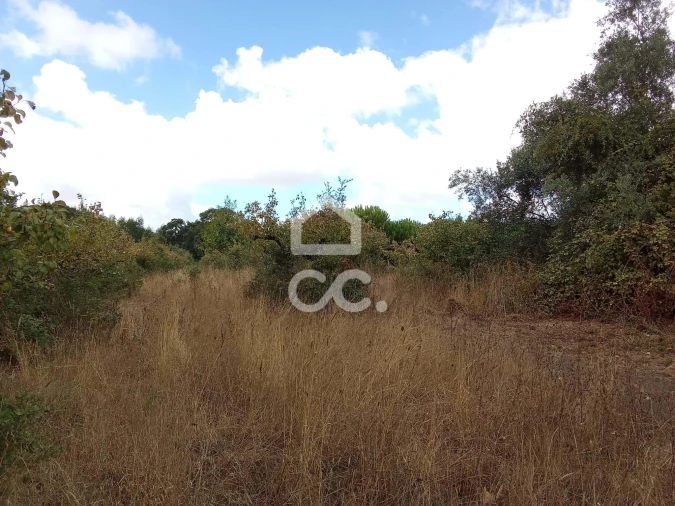 Terreno para Venda em Roliça Foto 10