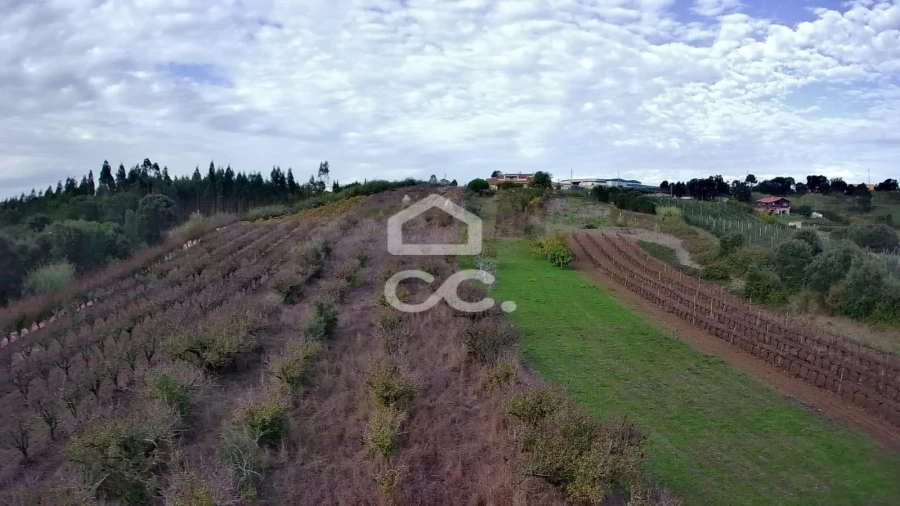 Terreno para Venda em Roliça Foto 24